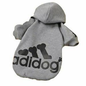 Dog track suit
